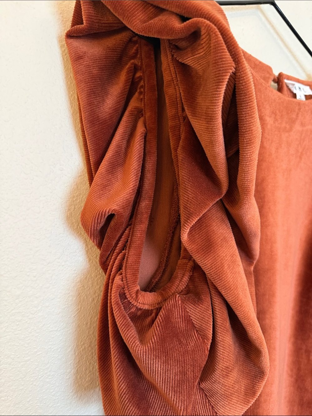 THML Rust Velvet Ruffle Sleeve Top - Picture 3 of 4